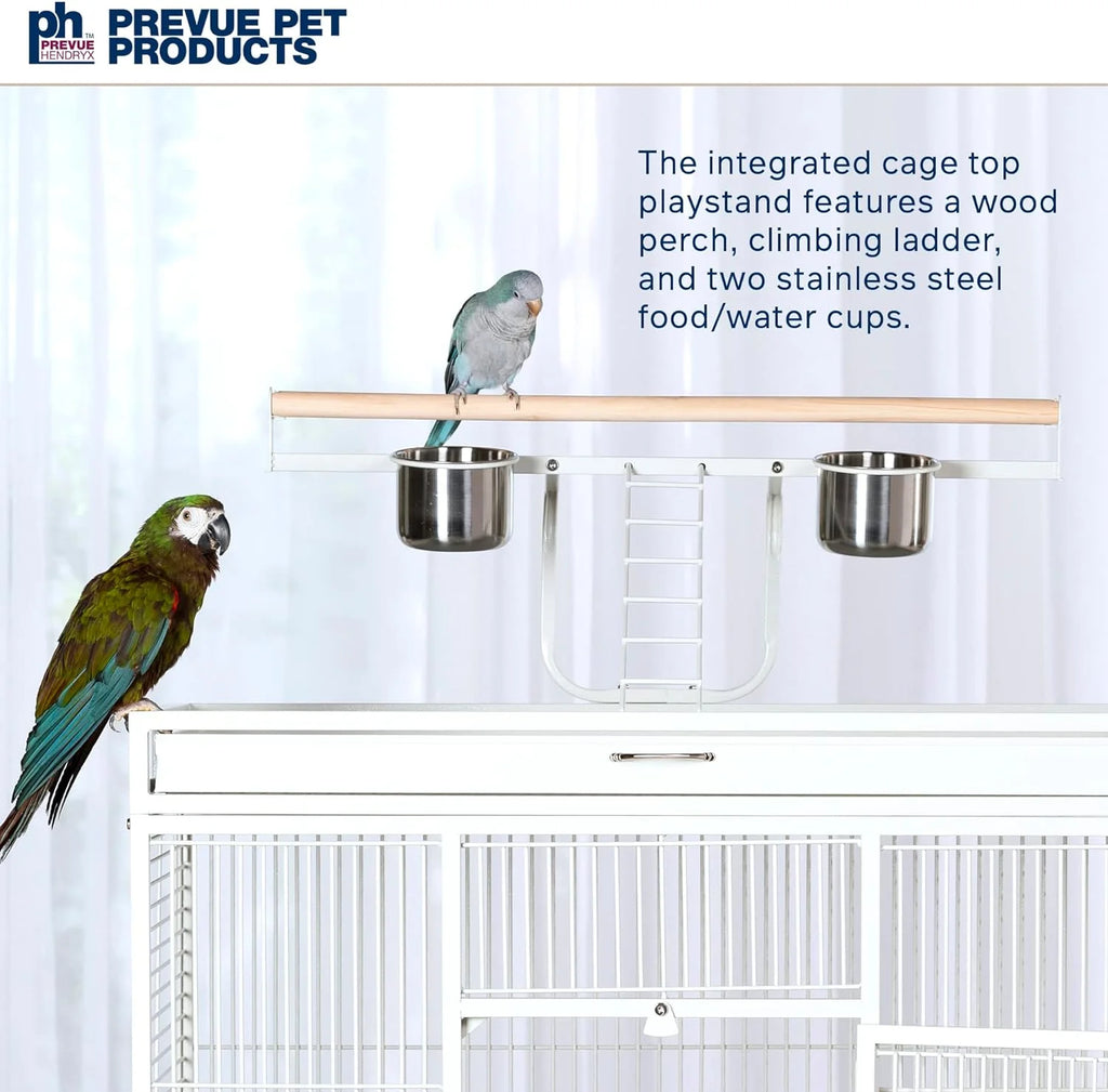 2026 Pet Products Wrought Iron Select Bird Cage 3154C, Chalk White, 36-Inch by 24-Inch by 66-Inch