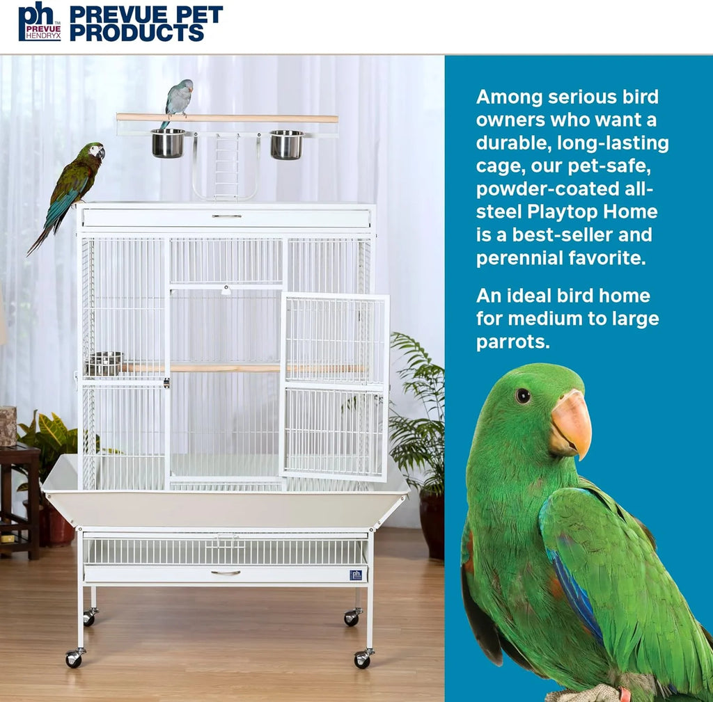 2026 Pet Products Wrought Iron Select Bird Cage 3154C, Chalk White, 36-Inch by 24-Inch by 66-Inch