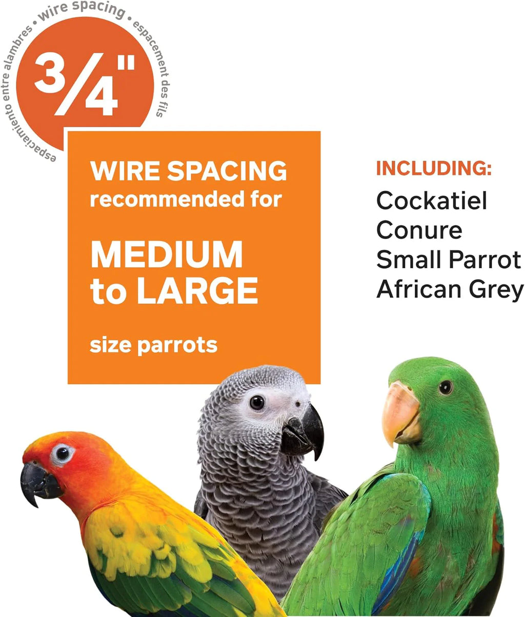2026 Pet Products Wrought Iron Select Bird Cage 3154C, Chalk White, 36-Inch by 24-Inch by 66-Inch
