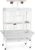 2026 Pet Products Wrought Iron Select Bird Cage 3154C, Chalk White, 36-Inch by 24-Inch by 66-Inch