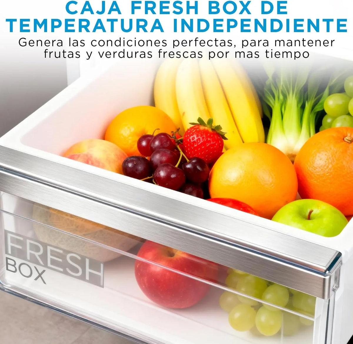 2026 Midea Frigorífico Combi No Frost | 60 cm ancho x 188 alto cm | Inox | Nevera libre instalación 224 L + 86 L Congelador – Refrigerador de bajo consumo con congelador vertical