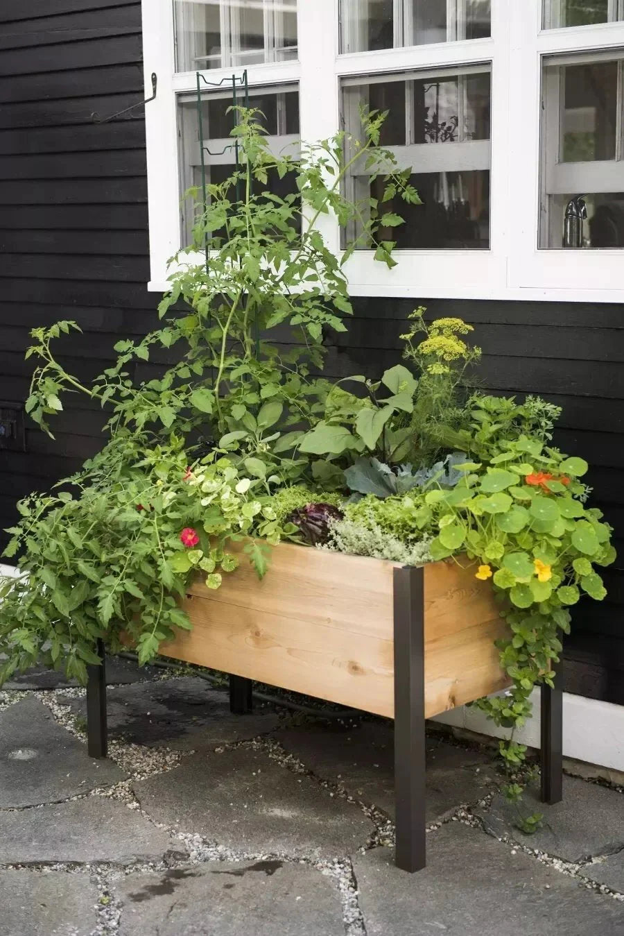 2026 Watering Eco-Stained Elevated Planter Box