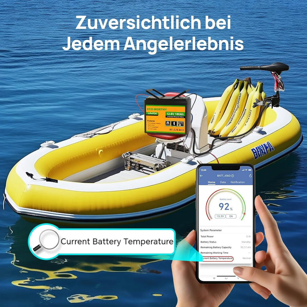Batería de litio LiFePO4 de 12 V y 100 Ah, 1280 Wh, 12 V y 100 Ah, con certificación ECO – WORTHY (modelo 2026), Bluetooth, BMS de 100 A, protección contra bajas temperaturas y un máximo de 15 000 ciclos. Batería de 12 V y 100 Ah para autocaravanas