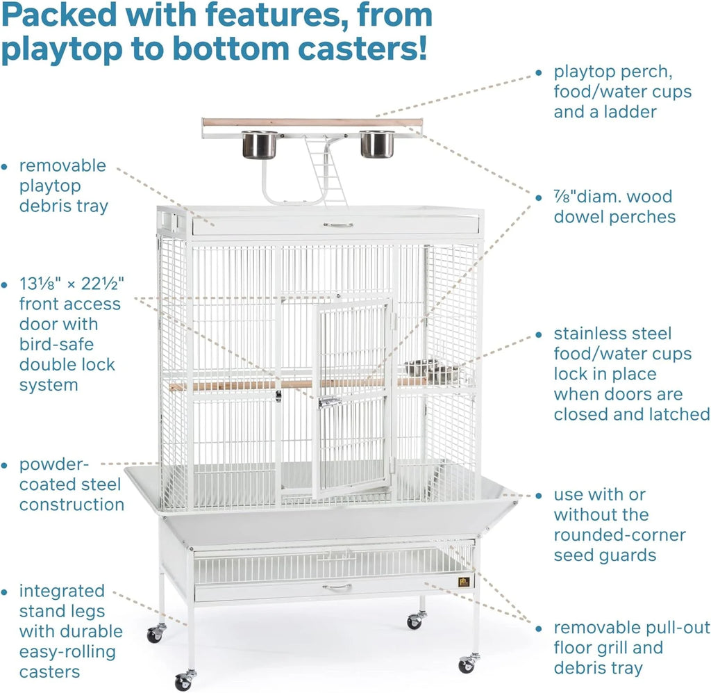 2026 Pet Products Wrought Iron Select Bird Cage 3154C, Chalk White, 36-Inch by 24-Inch by 66-Inch