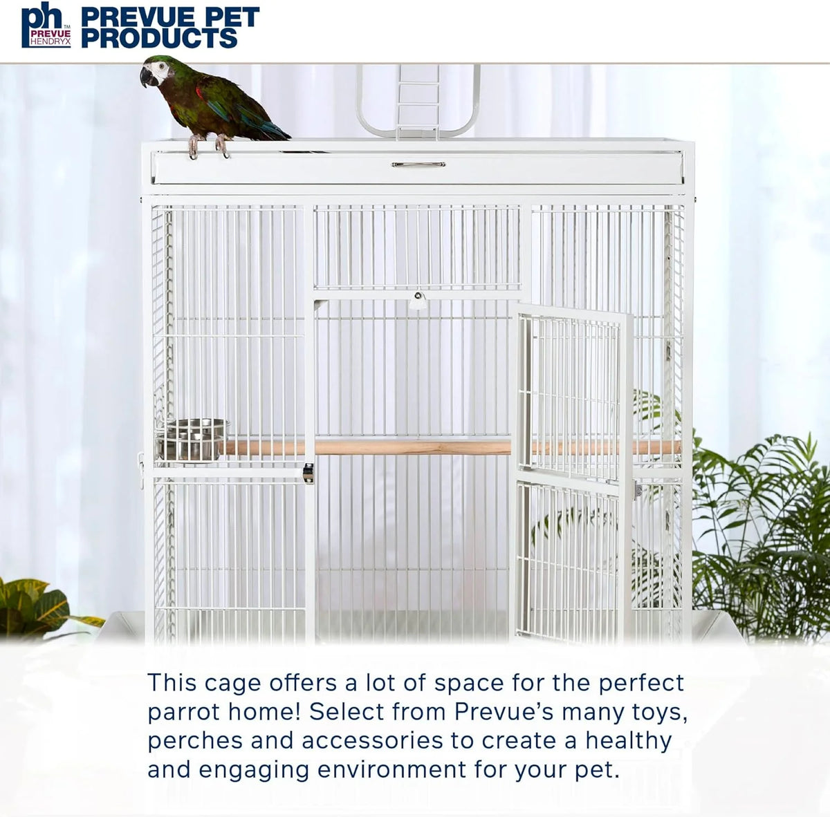 2026 Pet Products Wrought Iron Select Bird Cage 3154C, Chalk White, 36-Inch by 24-Inch by 66-Inch
