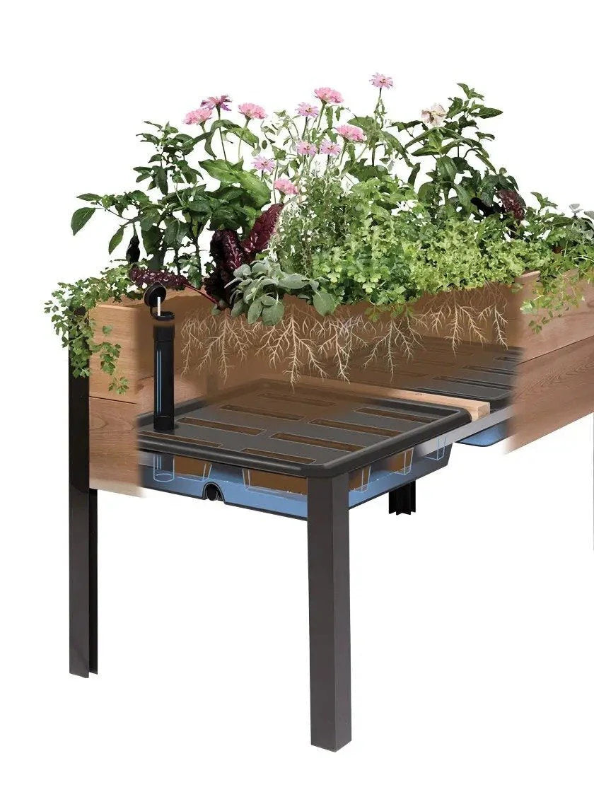 2026 Watering Eco-Stained Elevated Planter Box