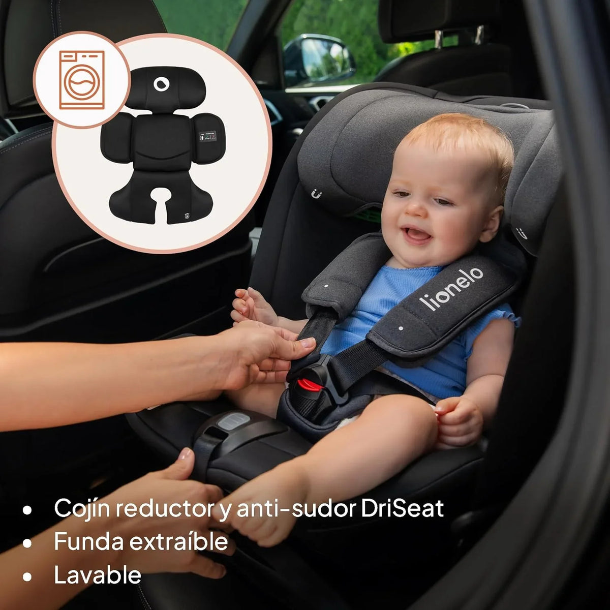 2026 LIONELO Bastiaan RWF i – Size Silla de Coche para Bebé Giratoria 360° 0 – 36kg, Instalaciión Delantera y Trasera (18kg), ISOFIX TopTether, Reposacabezas y Respaldo Ajustables Protección Lateral