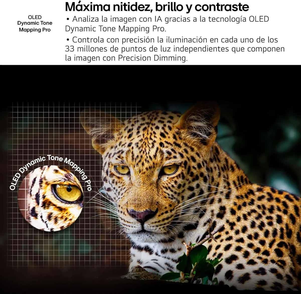 2026 OLED48C54LA – TV de 48", OLED EVO 4K, Smart TV AI C5, WebOS 25, Super Upscaling, Dolby Vision y Dolby Atmos, AMD FreeSync, Alexa/Google Assistant, Negro