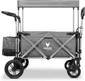 Carrito plegable original FUXTEC FX-CTL900 Premium Gris para niños, ideal para el jardín, la playa o la ciudad, se puede empujar o tirar, soporta hasta 75 kg. 2026