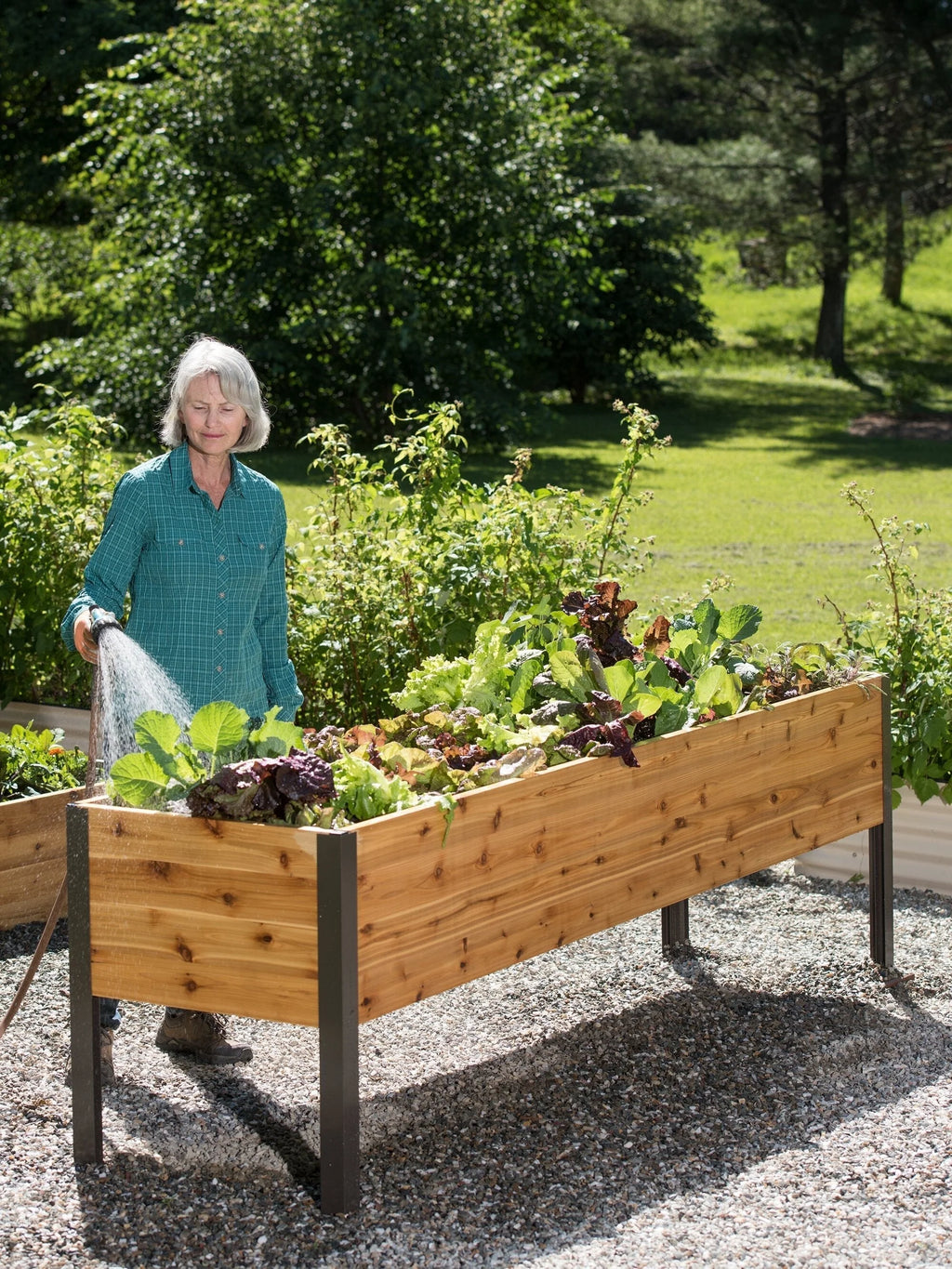 2026 Watering Eco-Stained Elevated Planter Box