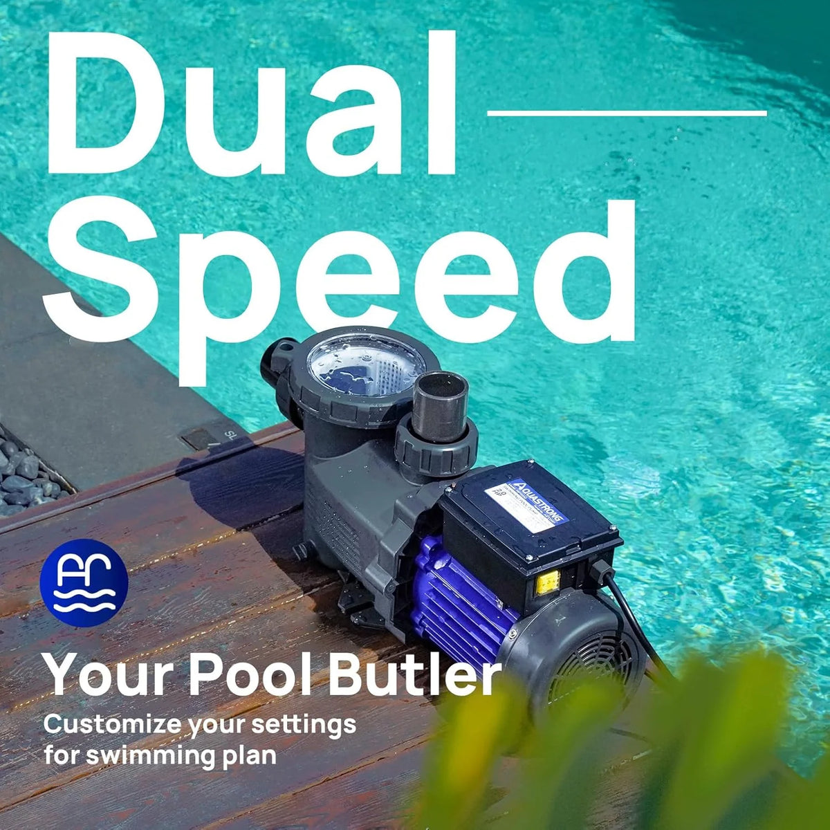 2026 Aquastrong in Above Ground Pool Pump High Flow with Timer 2HP 8917 Gph 220V