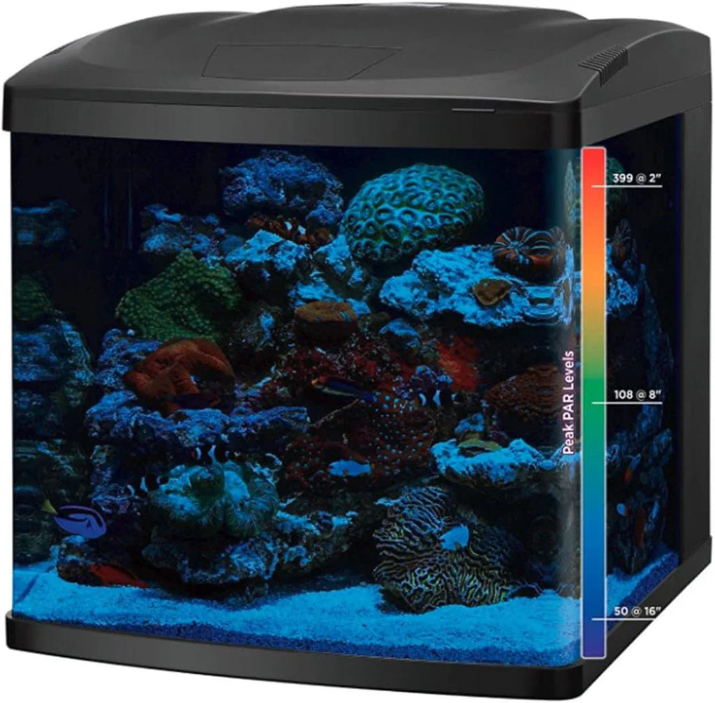 2026 LED Tanks and Combo Kits (32 Gallon Tank/Stand Kit)